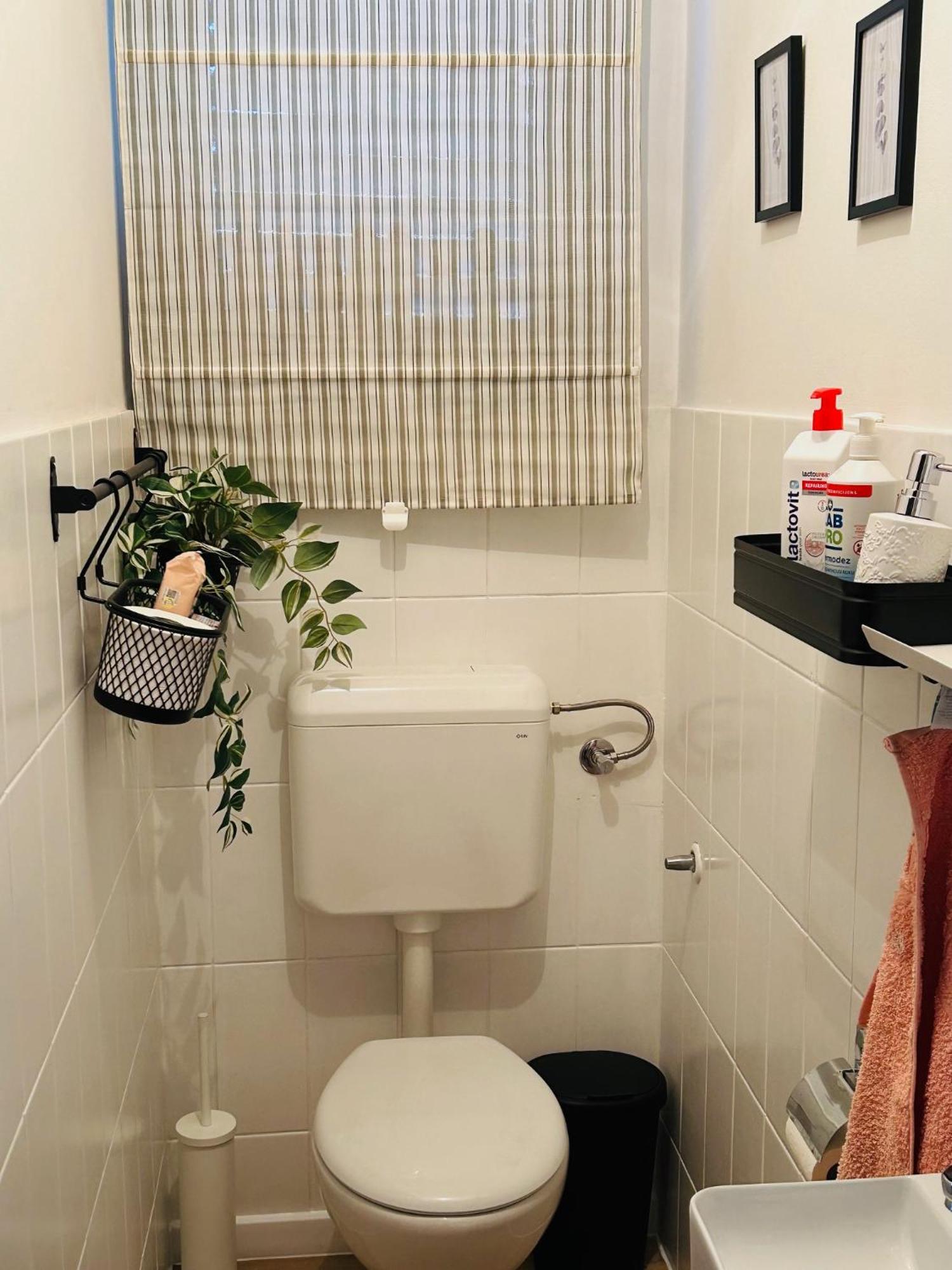 Starlight House Leilighet Bjelovar Eksteriør bilde